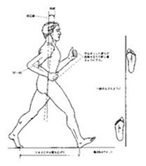 生理歩行について